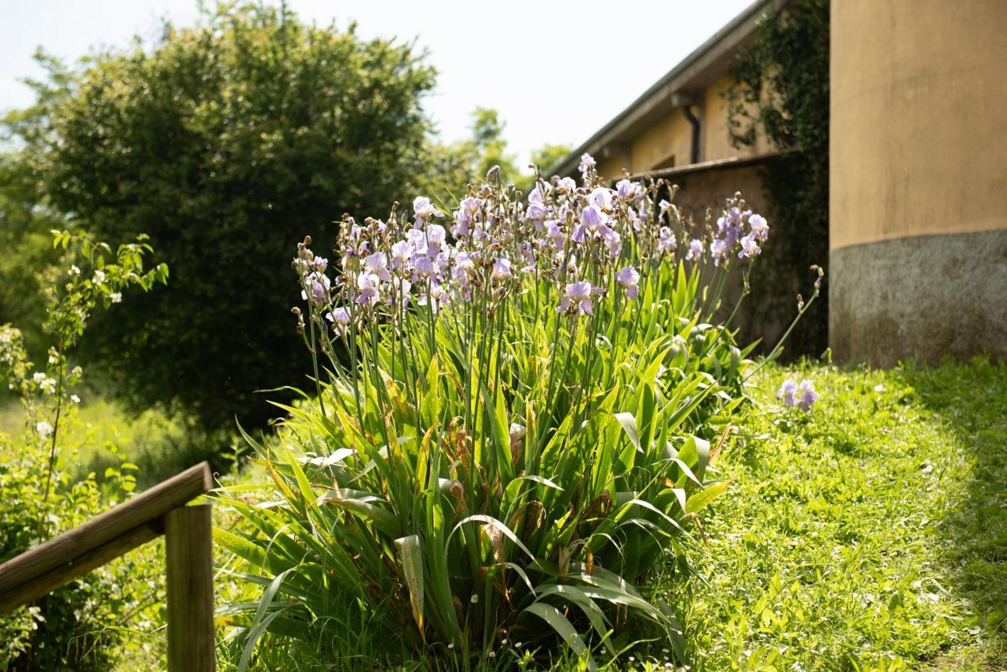 Country House Cascina Orto Pasturana ภายนอก รูปภาพ