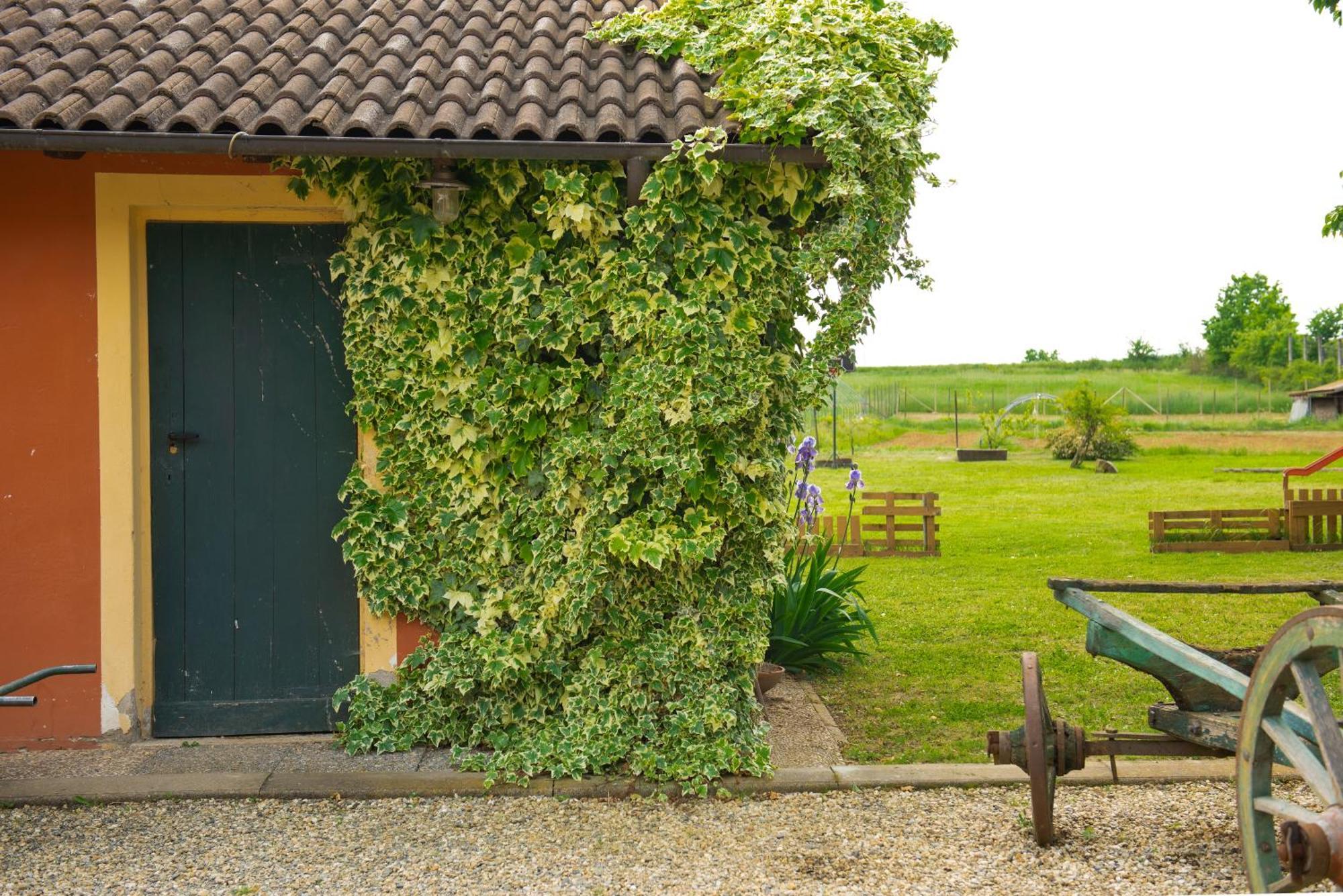 Country House Cascina Orto Pasturana ภายนอก รูปภาพ