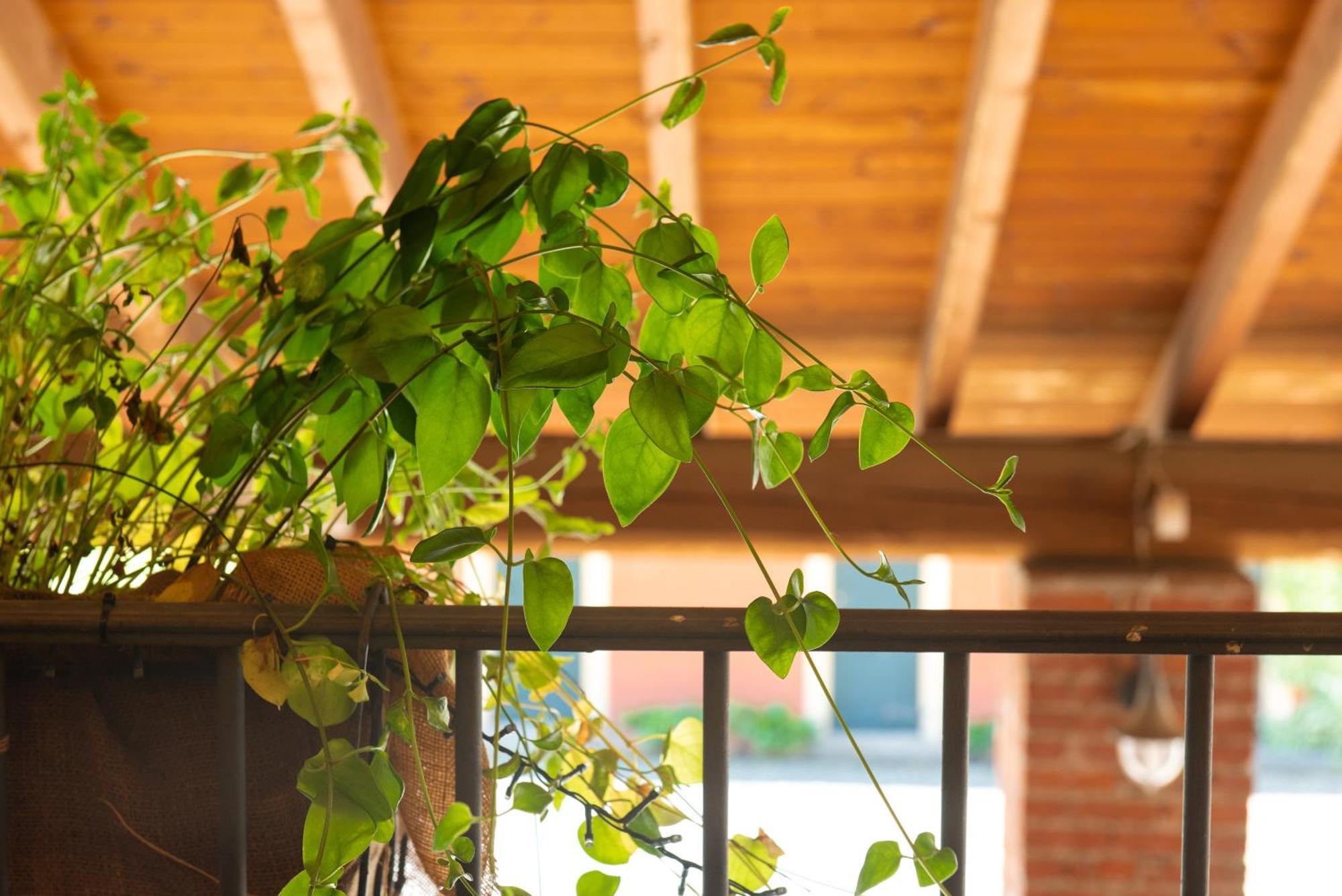 Country House Cascina Orto Pasturana ภายนอก รูปภาพ